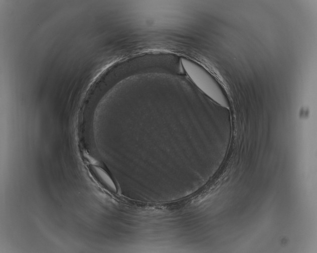 X0000094350386200711301407