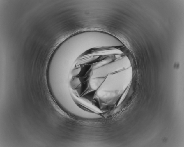 X0000094350389200711301407