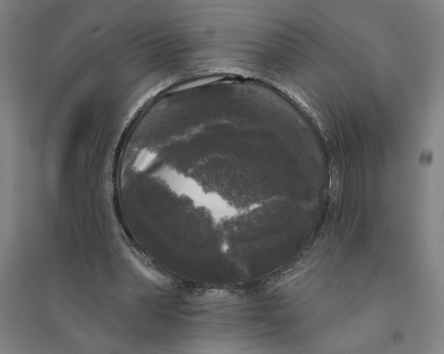 X0000094350390200711301407