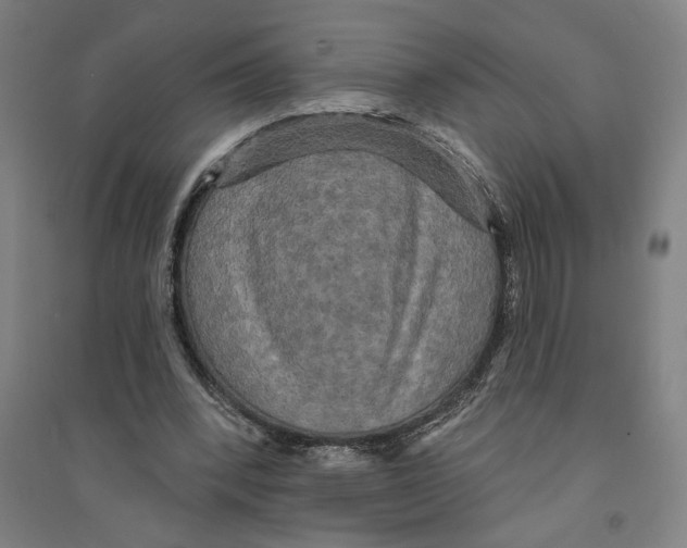 X0000094350392200711301407
