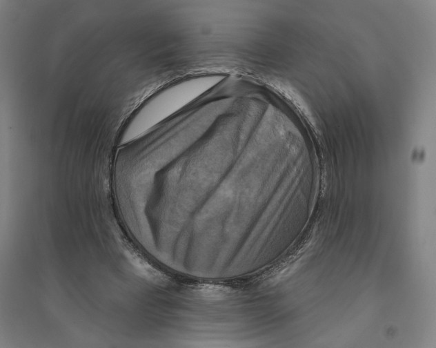 X0000094350393200711301407