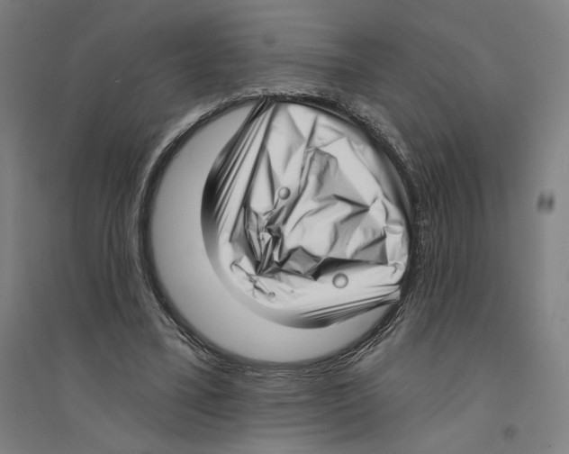 X0000094350395200711301407