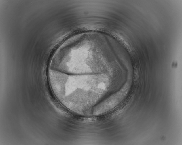 X0000094350398200711301407