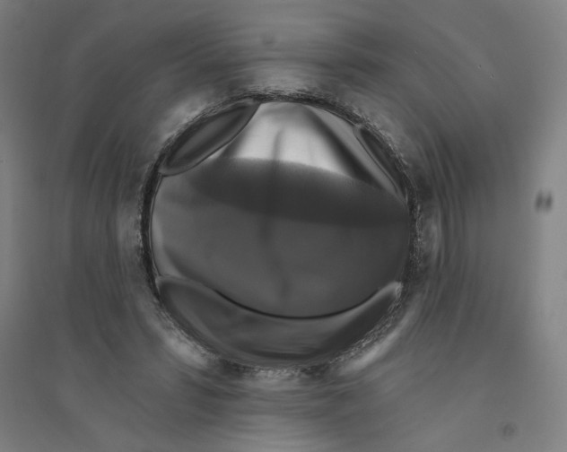 X0000094350399200711301407