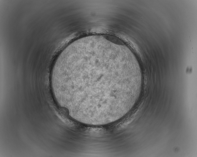X0000094350401200711301406