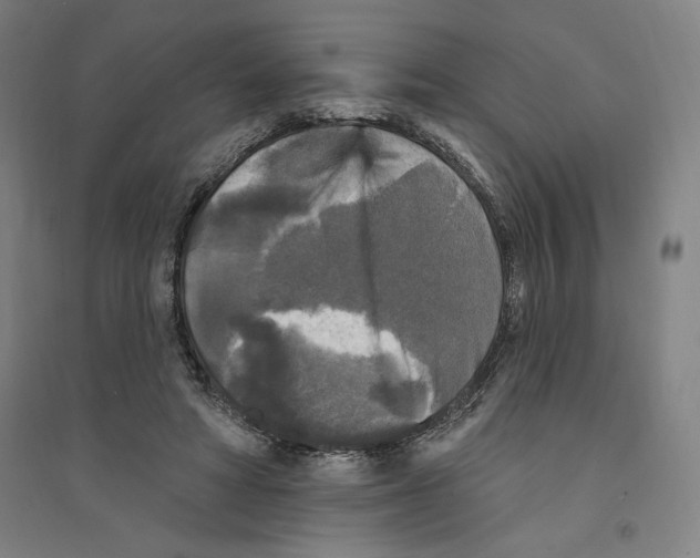 X0000094350402200711301406