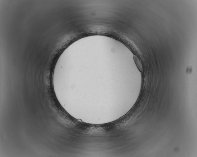 X0000094350403200711301406