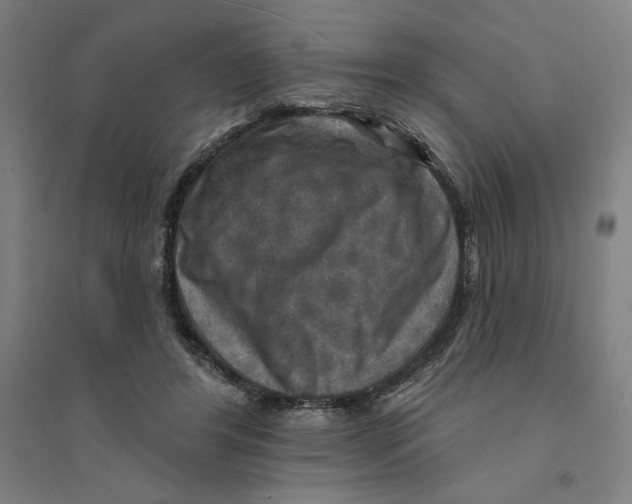 X0000094350404200711301406