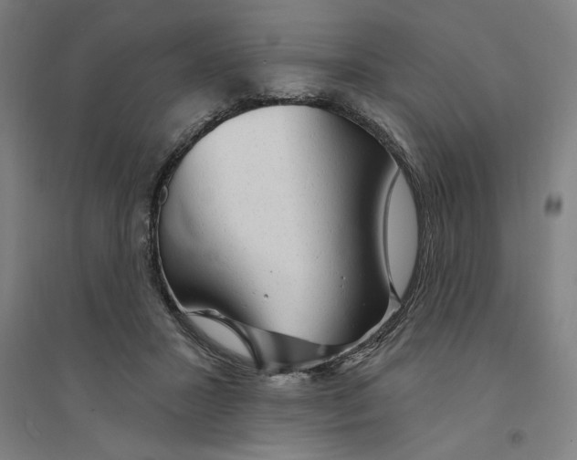 X0000094350407200711301406