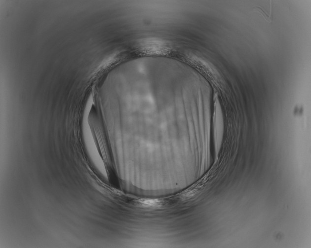 X0000094350409200711301406