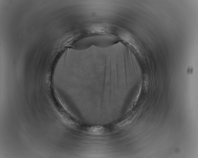 X0000094350410200711301406