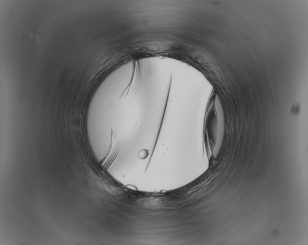 X0000094350412200711301406