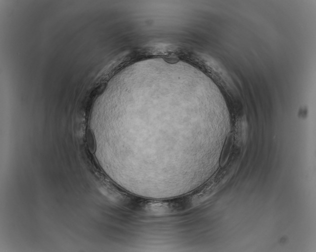 X0000094350413200711301406