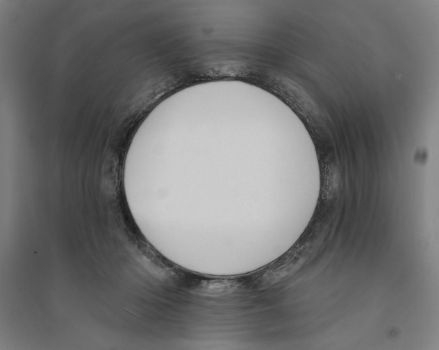 X0000094350414200711301406