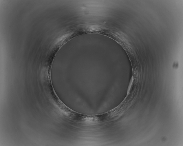 X0000094350415200711301406