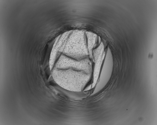 X0000094350416200711301406