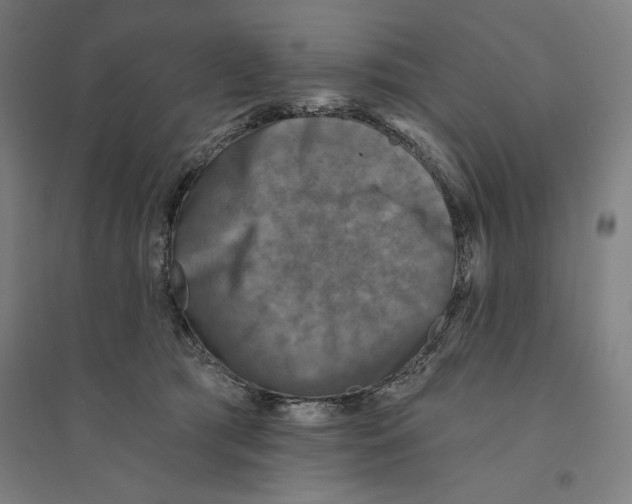 X0000094350417200711301406