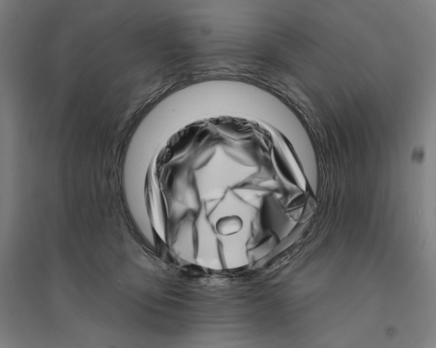 X0000094350419200711301406