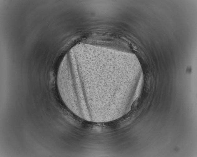 X0000094350420200711301406