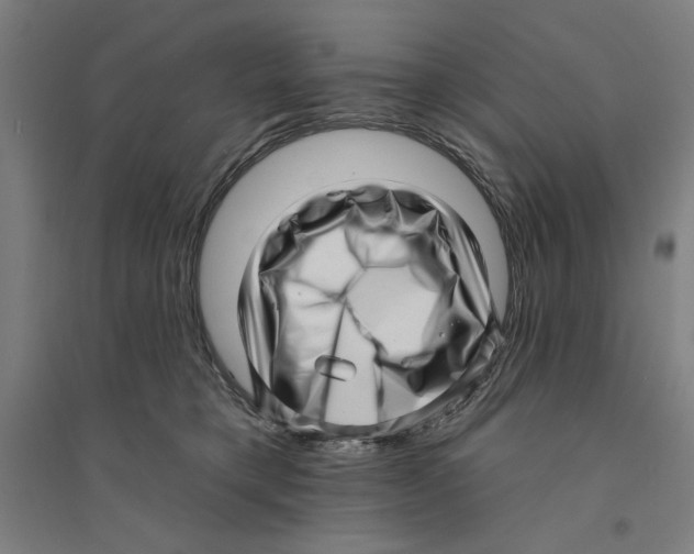 X0000094350421200711301406