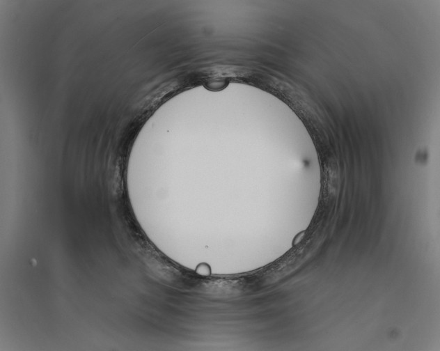 X0000094350422200711301406
