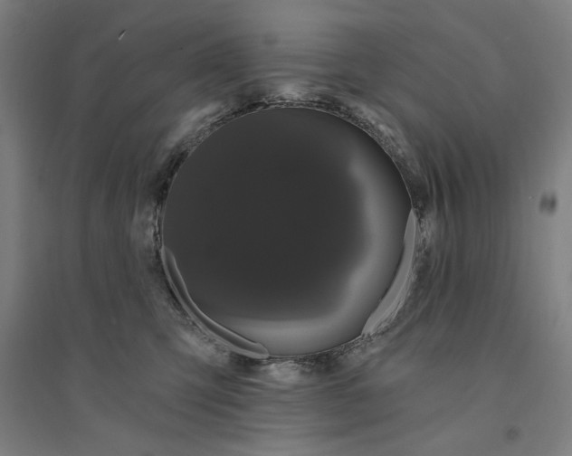 X0000094350423200711301406
