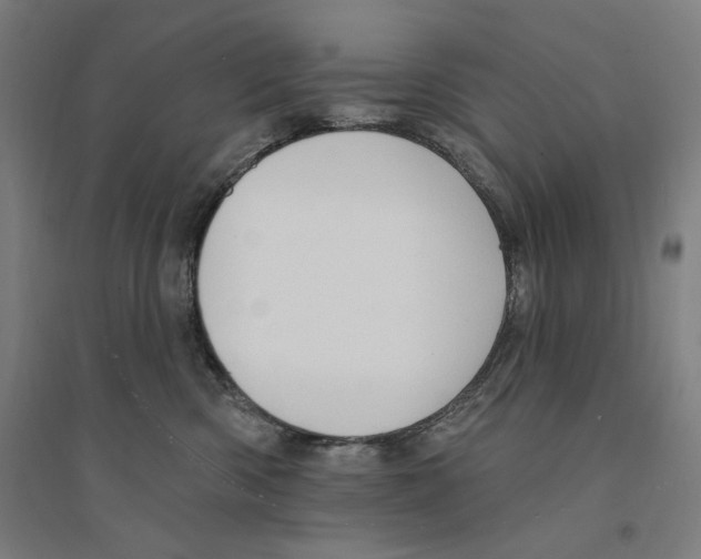 X0000094350426200711301406