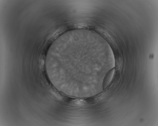 X0000094350427200711301406