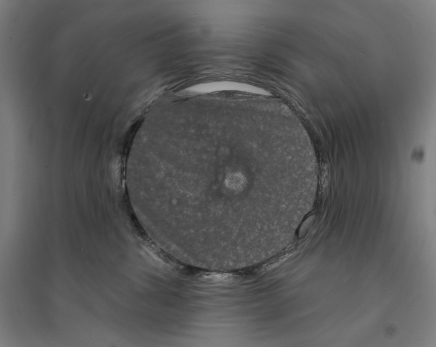 X0000094350428200711301406