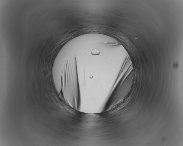 X0000094350429200711301406