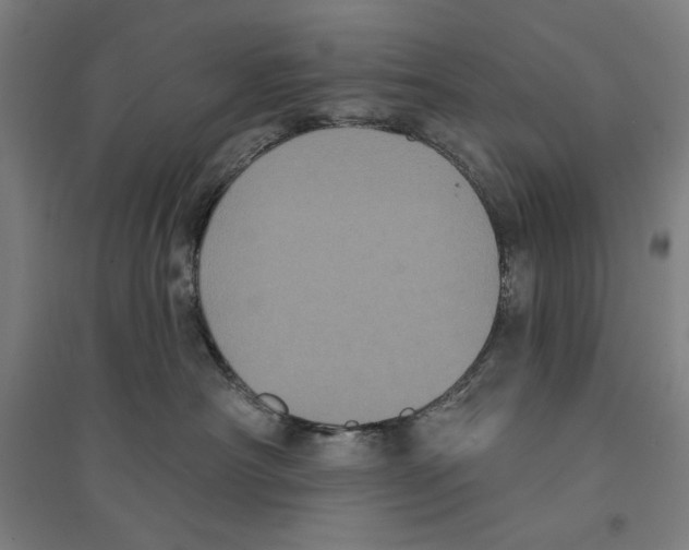 X0000094350430200711301406