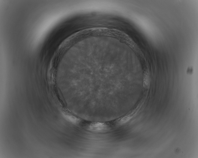 X0000094350431200711301406