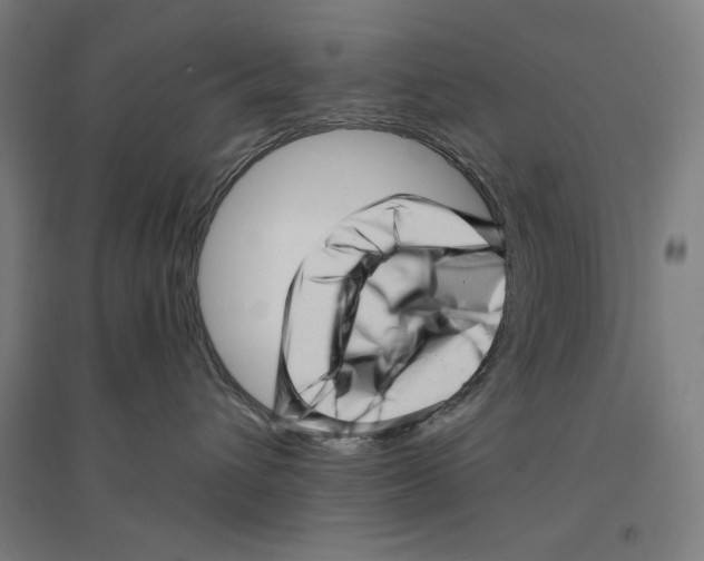 X0000094350432200711301406