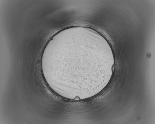 X0000094350433200711301405