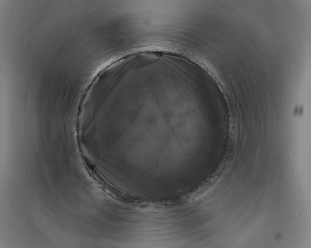 X0000094350434200711301405