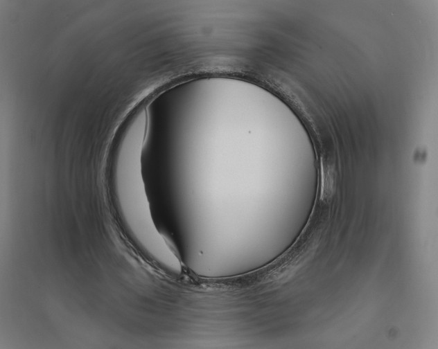 X0000094350435200711301405