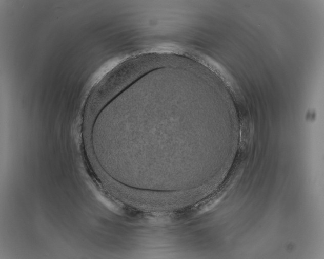 X0000094350436200711301405