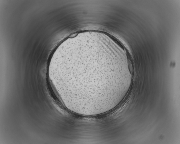 X0000094350437200711301405
