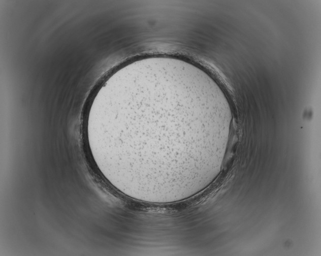 X0000094350439200711301405