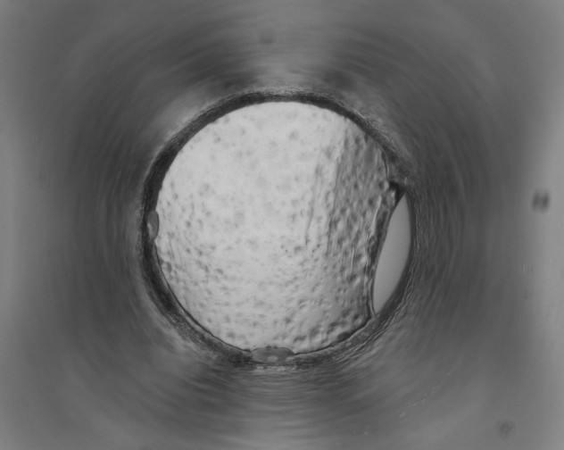 X0000094350440200711301405