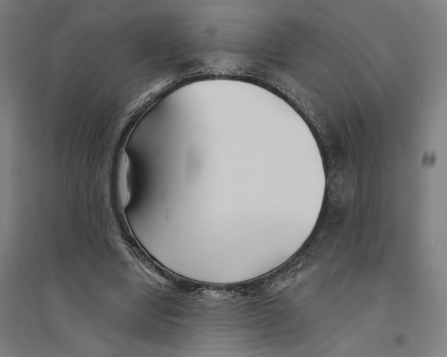 X0000094350442200711301406