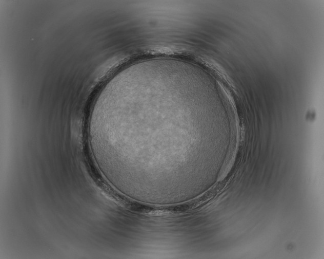 X0000094350444200711301406