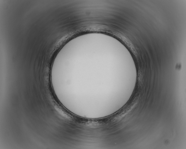 X0000094350445200711301406