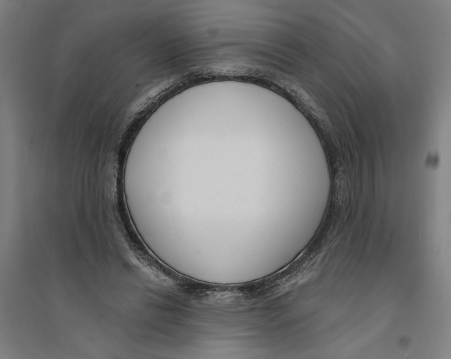 X0000094350446200711301406