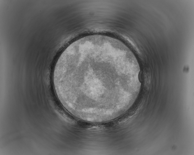 X0000094350447200711301406