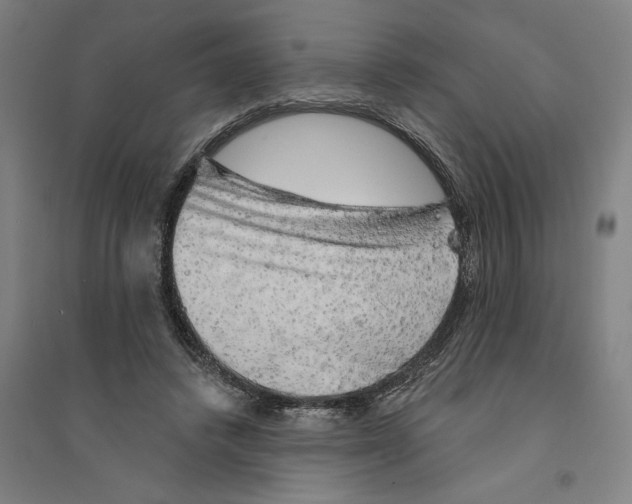 X0000094350448200711301406
