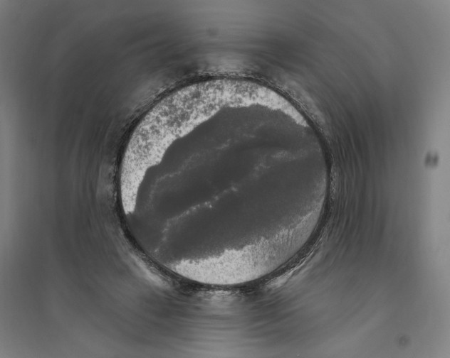 X0000094350449200711301406