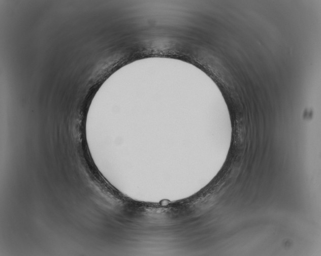 X0000094350450200711301406