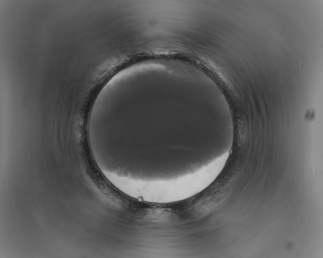 X0000094350451200711301406