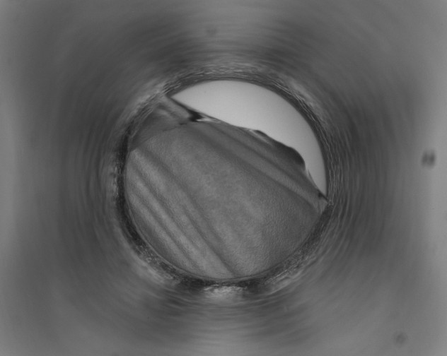X0000094350452200711301406